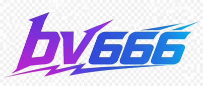 bv666 logo